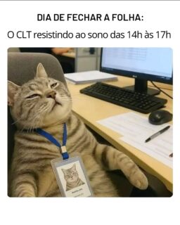 🤣 🤣 Não fique como ele!
👥 No nosso curso de Formação em Departamento Pessoal, você aprende na prática:
✅ Admissão e demissão
✅ Cálculos trabalhistas
✅ Folha de pagamento
✅ Férias e rescisões
✅ INSS e IRRF
✅ eSocial, DCTFWeb, FGTS Digital e muito mais!
🌐 www.antoninotreinamento.com.br⁠
📲 (92) 99129-5051 - LINK BIO e STORY
#DepartamentoPessoal #RecursosHumanos #RH #eSocial #FGTSDigital