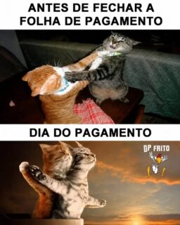 📊 Folha de pagamento sem erros começa com capacitação.
Quem domina as rotinas do Departamento Pessoal agrega valor à empresa e amplia suas oportunidades no mercado.
🚀 Prepare-se para o próximo nível da sua carreira!
🌐 www.antoninotreinamento.com.br
📲 (92) 99129-5051
#DP #FolhaDePagamento #RH #DepartamentoPessoal #cursosprofissionalizantes